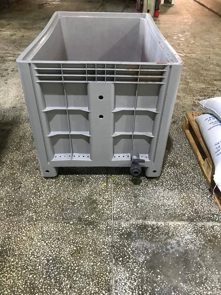 Роси Фиш 01.jpg