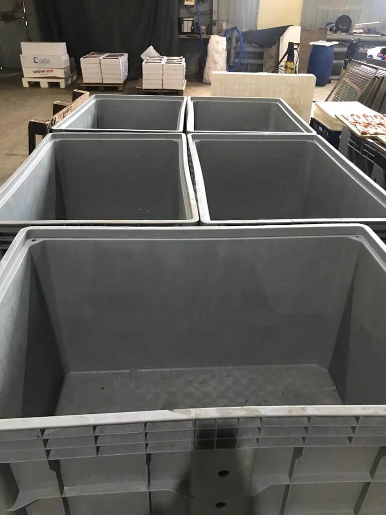 Роси Фиш 004.jpg