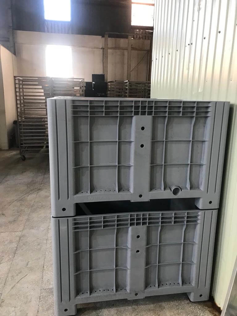 Роси Фиш 002.jpg