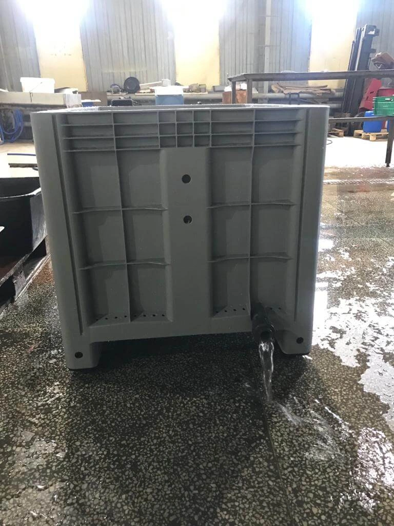 Роси Фиш 02.jpg